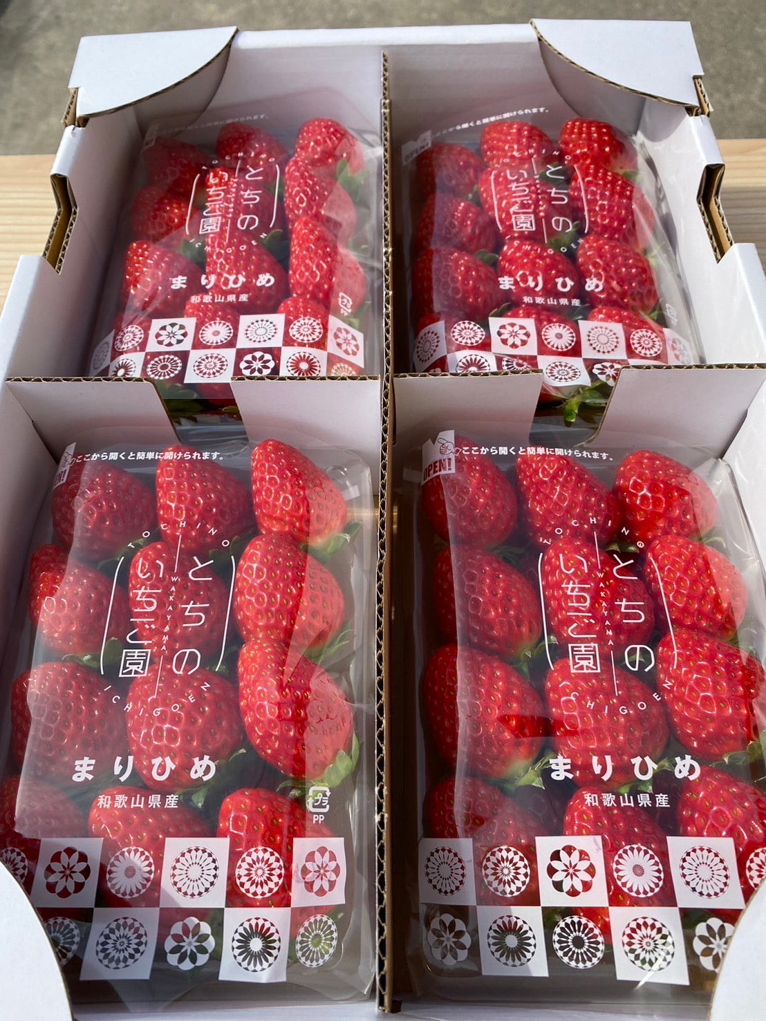 レギュラー(280g 13玉~18玉 ×4パック)(送料・税込み)